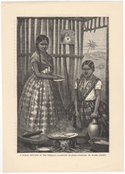 A Rural Kitchen in the Tierras Calientes (making frijoles, or maize cakes)